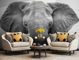 Minimalist elephant photography for modern and elegant wall art