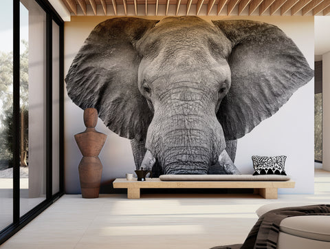 Close-up black and white portrait of an elephant showcasing intricate skin details