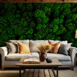 Serene forest wallpaper with dense tree canopy for natural decor