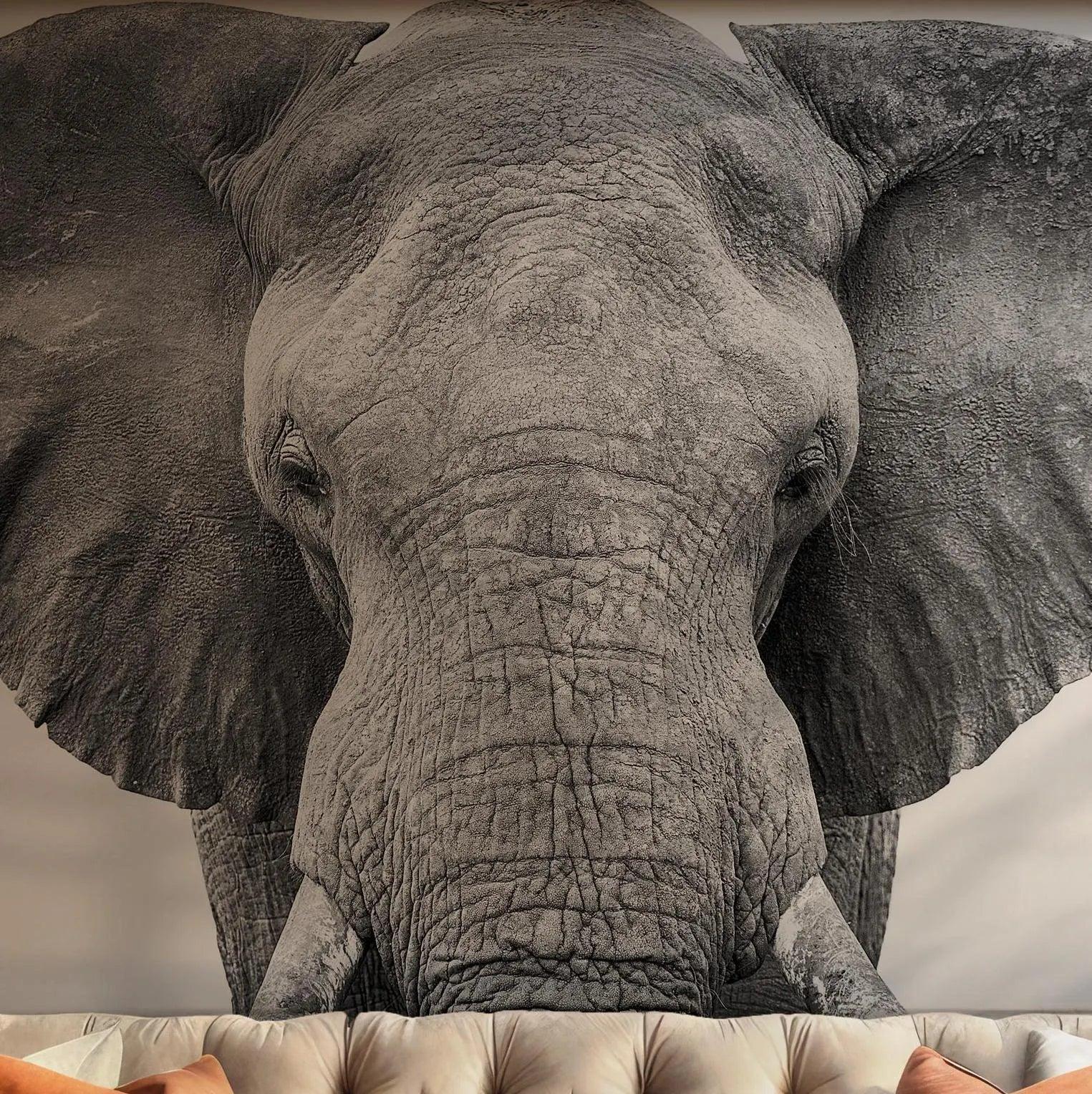 Elephant Wallpaper - Self Adhesive Peel and Stick Wall Mural - Black and White Africa Photography BV256