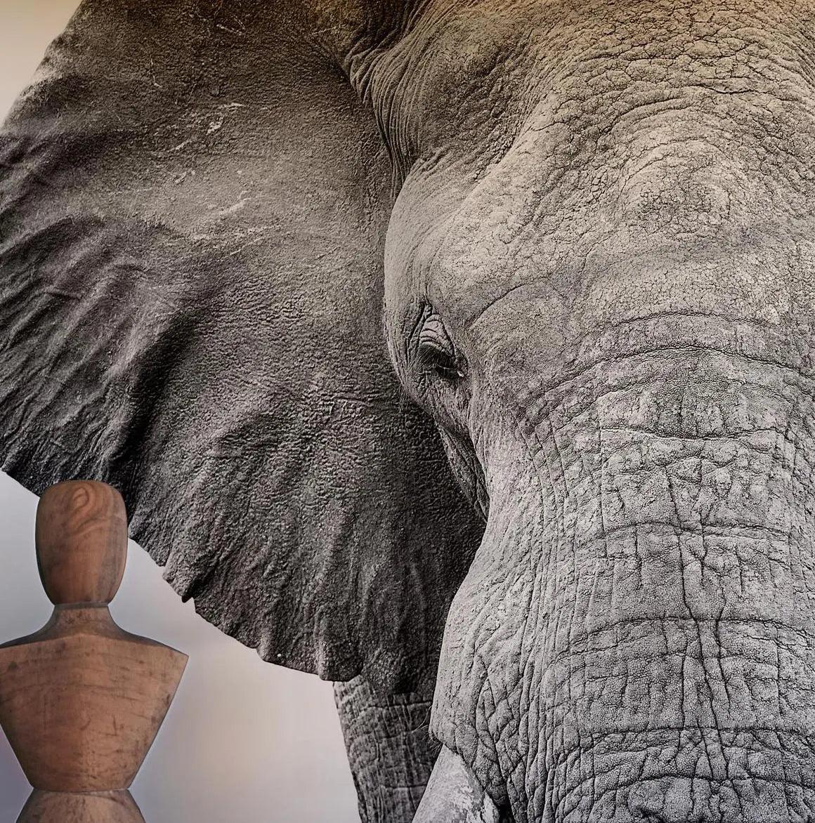 Elephant Wallpaper - Self Adhesive Peel and Stick Wall Mural - Black and White Africa Photography BV256