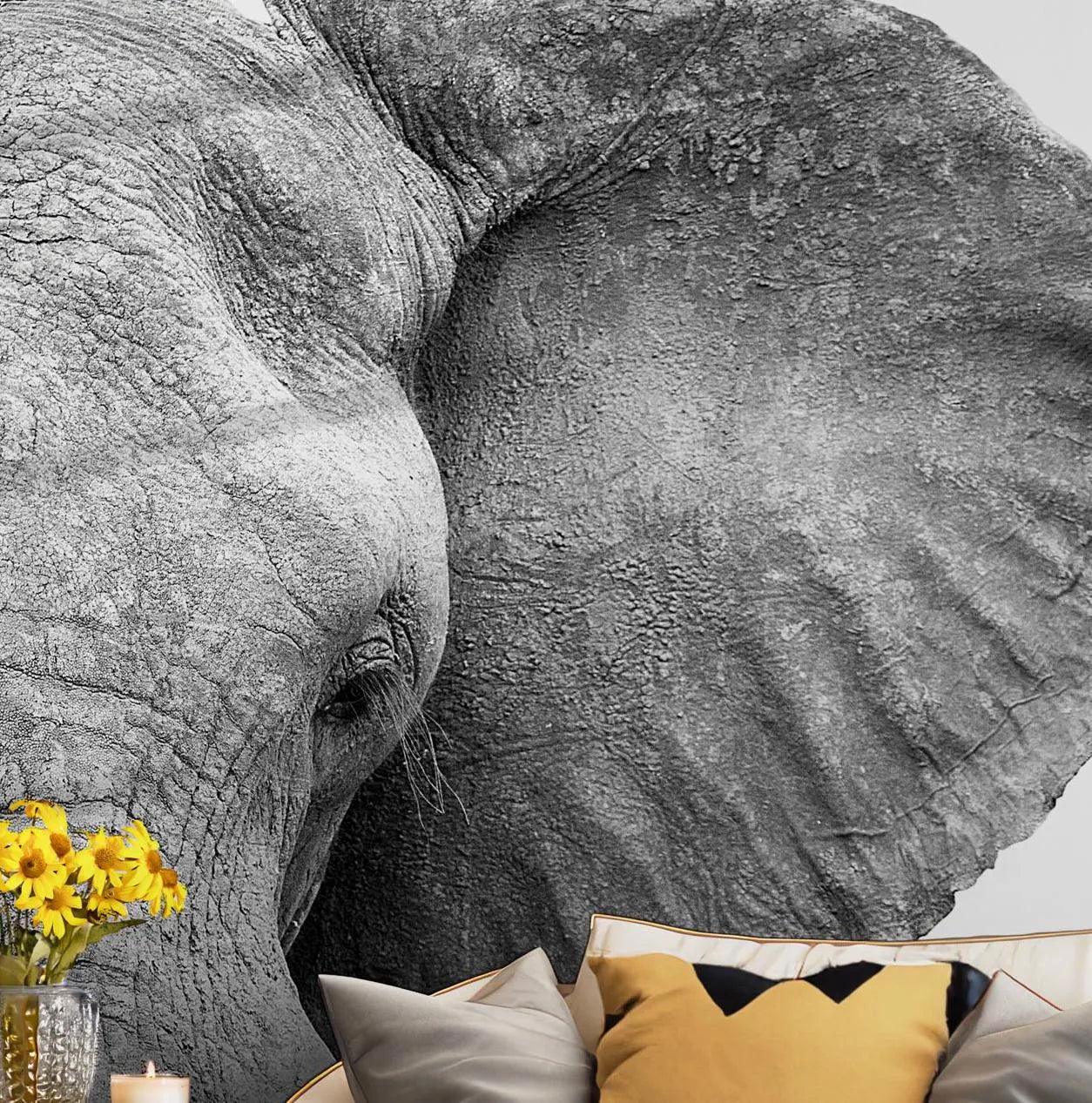 Elephant Wallpaper - Self Adhesive Peel and Stick Wall Mural - Black and White Africa Photography BV256