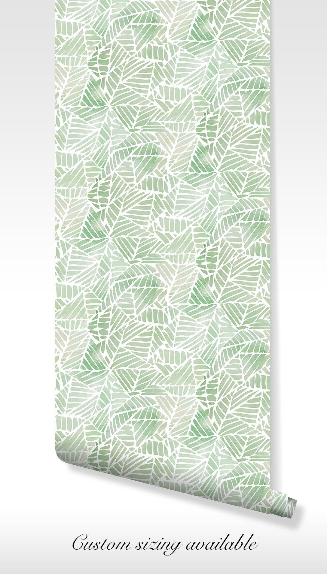 Green Leaf Self Adhesive Wallpaper - Monstera Lush Nature Modern Design - Peel and Stick Pacific Herb Tropical BV092