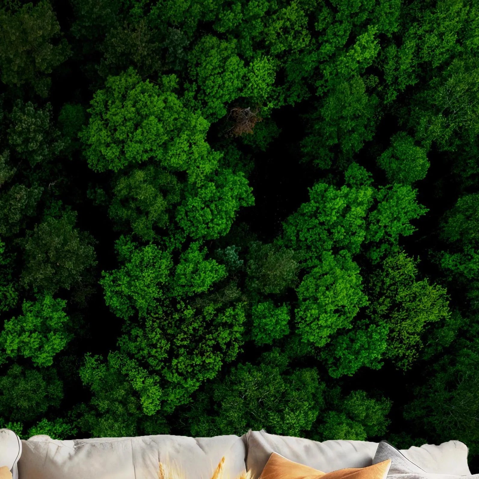 Green Forest Wallpaper - Peel and Stick Wall Mural - Lush Aerial View Canopy Greenery Nature BV272