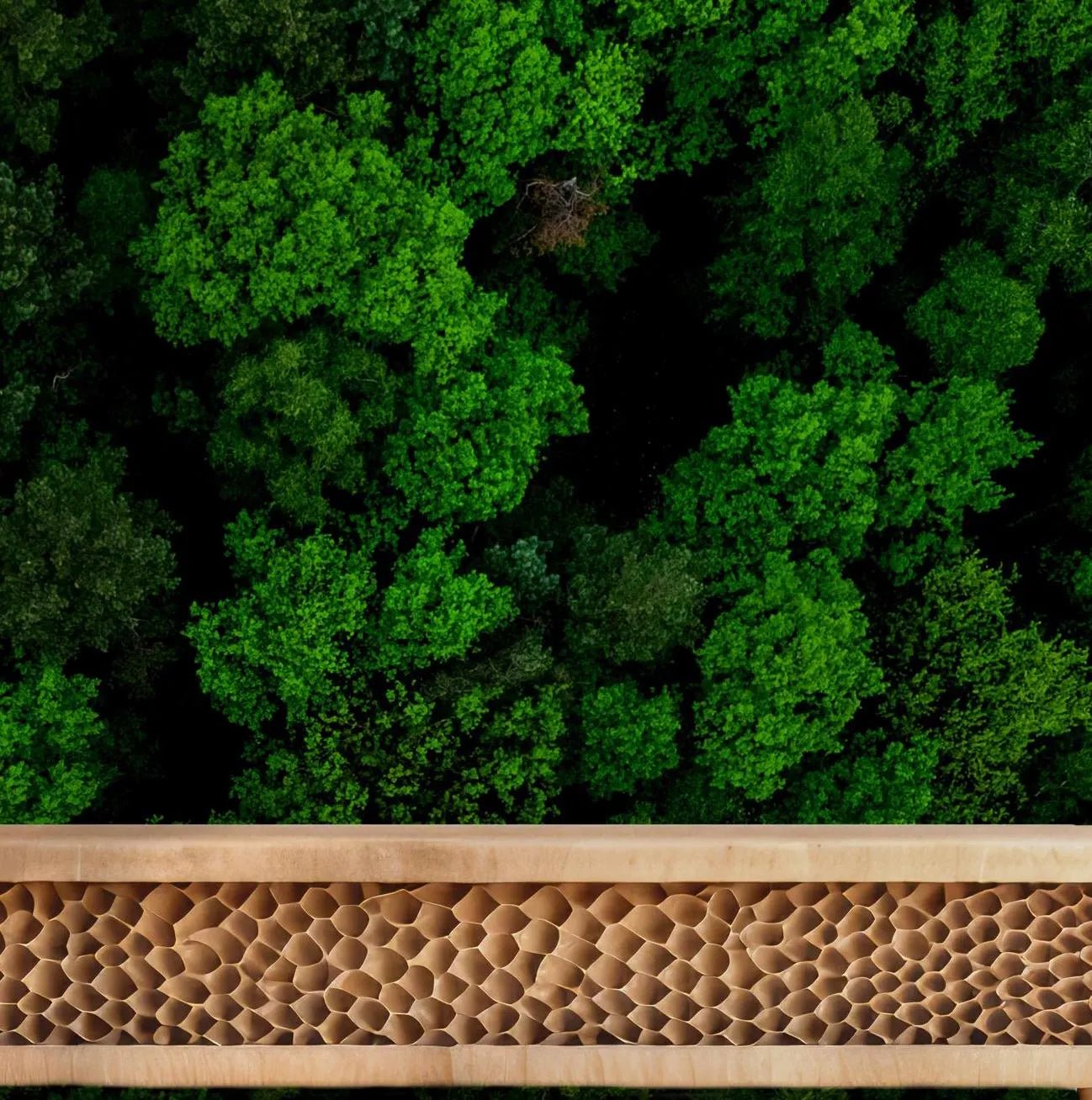 Green Forest Wallpaper - Peel and Stick Wall Mural - Lush Aerial View Canopy Greenery Nature BV272