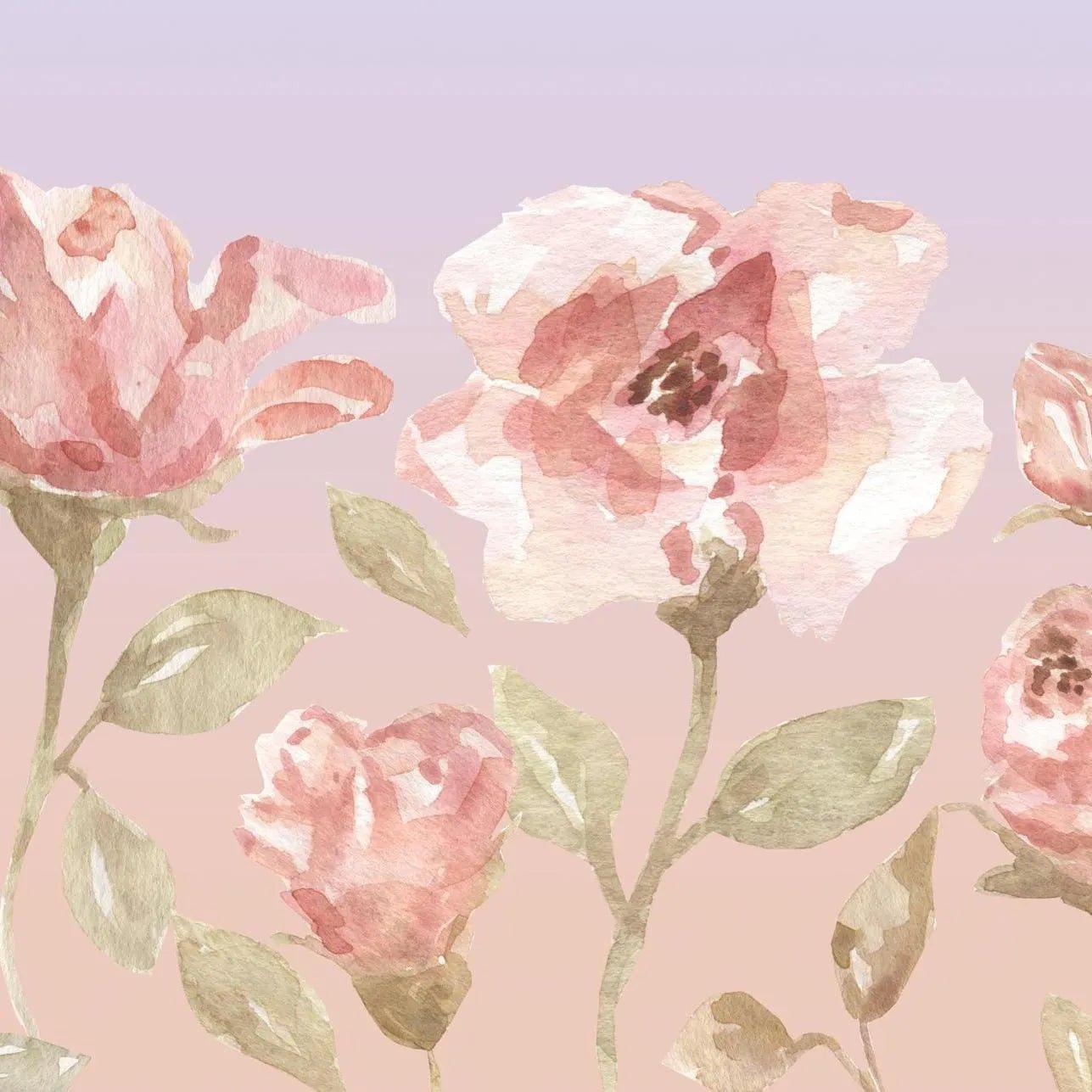 Pink Floral Roses Blush Wallpaper - Self Adhesive Peel and Stick Wall Mural - Olive Watercolor BV294