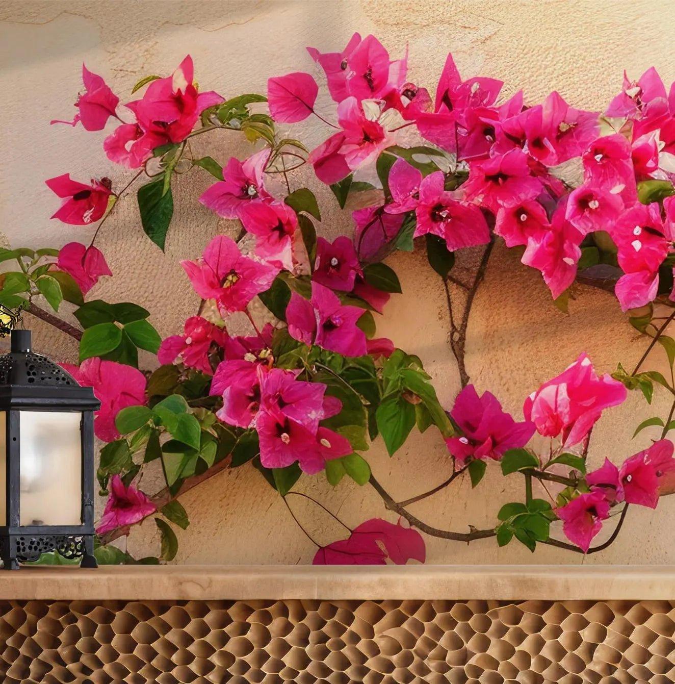 Pink Flowers Wallpaper - Self Adhesive Peel and Stick Wall Mural - Bougainvillea BloomWhite Floral Botanical BV215