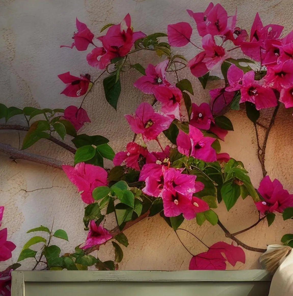 Pink Flowers Wallpaper - Self Adhesive Peel and Stick Wall Mural - Bougainvillea BloomWhite Floral Botanical BV215